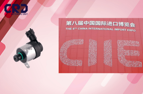 Celebrating Global Trade at the 8th CIIE with Our 0928400679 Metering Valve Promotion