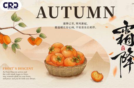 Frost’s Descent: Gear Up Your Engine with 0928400005 CRDI Metering Valve